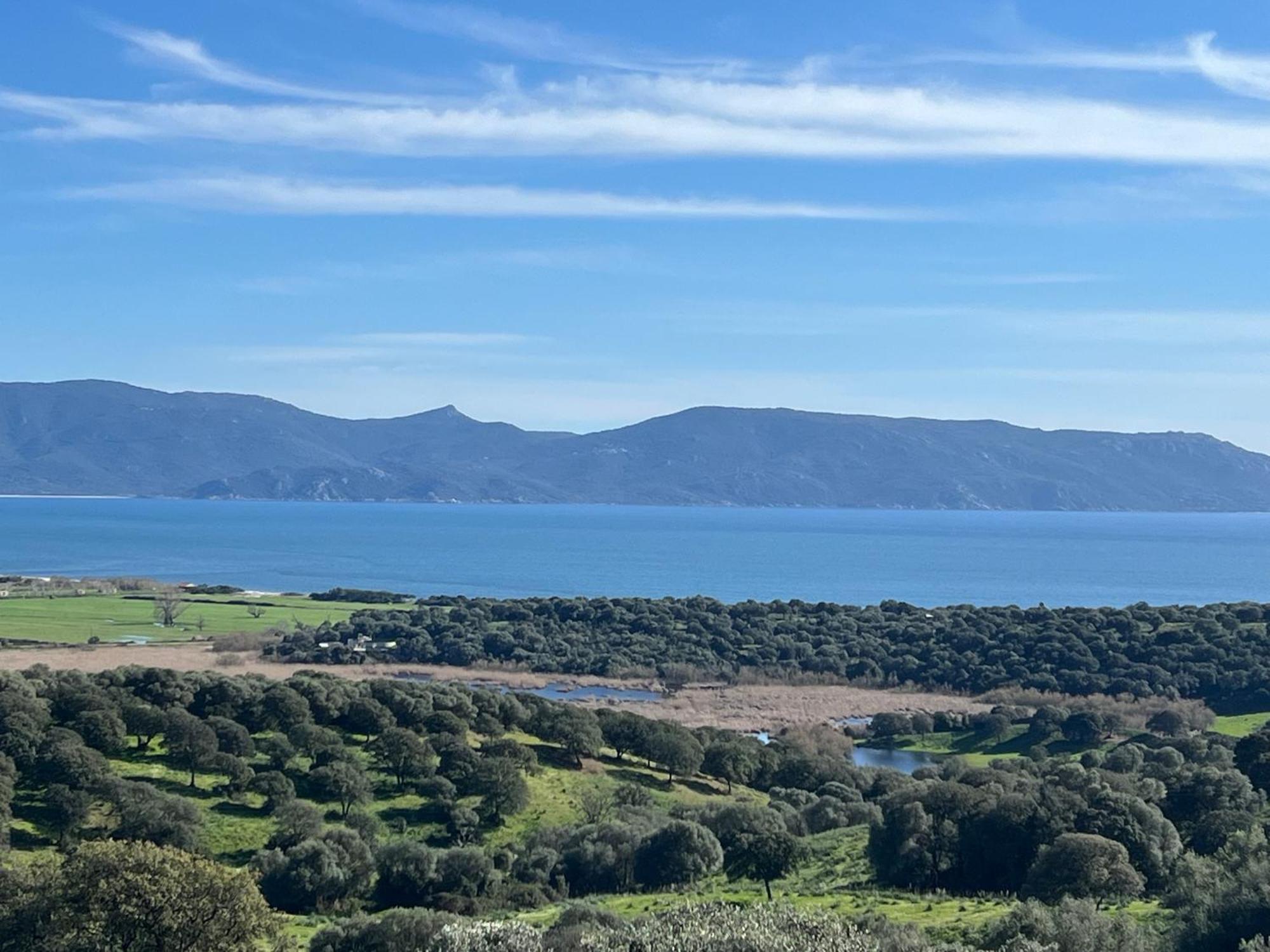 Residence Casa Favalella Porto Pollo Εξωτερικό φωτογραφία
